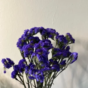 Dried Purple Statice Stems | Dried Flowers | DIY